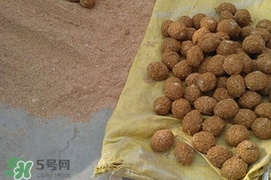 松花蛋是怎么做出來的？松花蛋的家庭腌制方法