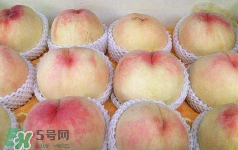 無錫水蜜桃多少錢一斤2017？無錫水蜜桃什么時候上市