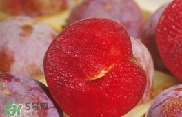 三華李可以和香蕉一起吃嗎？香蕉能和三華李一起吃嗎