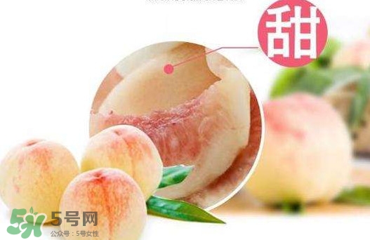 陽山水蜜桃多少錢一斤？無錫陽山水蜜桃價格