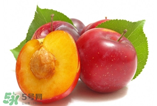 三華李可以放多久？三華李可以冷藏嗎？