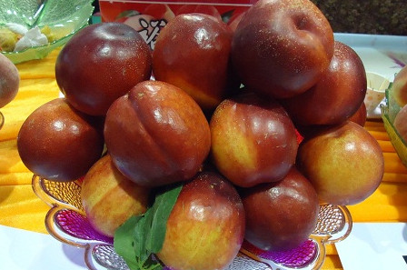 三華李可以用鹽泡嗎？三華李能用鹽水泡嗎