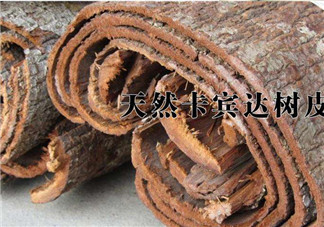 安哥拉樹(shù)皮能天天吃嗎？安哥拉樹(shù)皮天天吃可以嗎？
