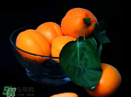 杏子可以和芒果一起吃嗎？吃完杏子可以吃芒果嗎？