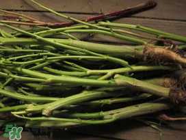 莧菜桿能吃嗎？莧菜桿子可以吃嗎？