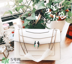 寶格麗蛇頭包有哪幾種尺寸？寶格麗蛇頭包尺寸介紹