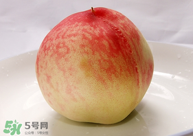 毛桃不能和什么一起吃？毛桃和什么相克？