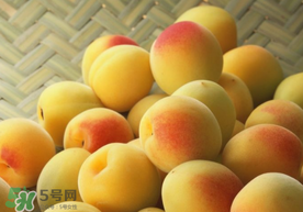 杏和雞蛋能一起吃嗎？杏子和雞蛋能一起吃嗎？
