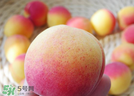 杏的熱量高嗎？一個(gè)杏的熱量是多少？