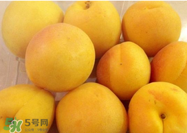 杏吃多了會怎么樣？杏吃多了會不會上火?