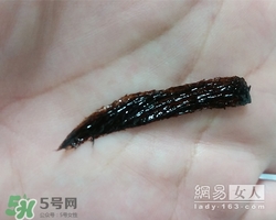 眉膠是什么？眉膠好用嗎