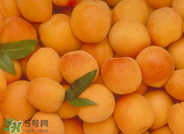 杏怎么催熟？杏怎么放熟的快？