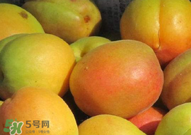 杏怎么催熟？杏怎么放熟的快？