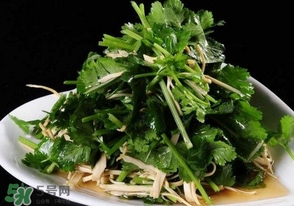 香菜是什么菜？香菜是陽(yáng)痿草嗎？