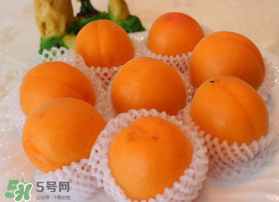 杏子可以放冰箱嗎？杏子可以冷藏嗎？