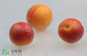 杏子怎么保存？長(zhǎng)杏子怎么保存時(shí)間長(zhǎng)？