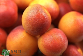 新鮮杏子可以放冰箱嗎？新鮮杏子怎么保存？
