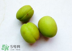 青杏怎么催熟？青杏怎么變黃？