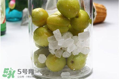 青杏酒怎么做？青杏酒的功效與作用