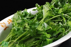 香菜是感光食物嗎？香菜是不是感光食物