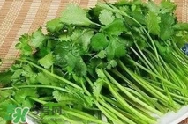 香菜是堿性嗎？香菜是堿性還是酸性