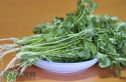 香菜是寒性食物嗎？香菜是熱性還是涼性？