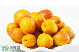 杏和荔枝能一起吃嗎？杏和荔枝一起吃會中毒嗎？