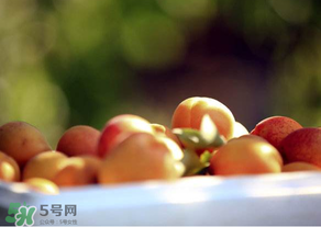 杏子好吃嗎？杏子可以多吃嗎？