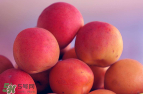 杏子好吃嗎？杏子可以多吃嗎？