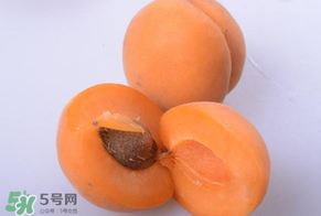 杏子好吃嗎？杏子可以多吃嗎？