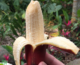 紅香蕉好吃嗎？紅香蕉味道怎么樣？
