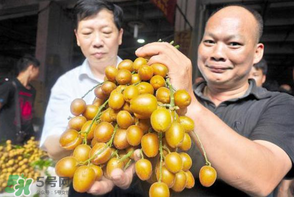 黃皮好吃嗎？黃皮是什么味道？