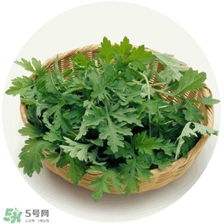 lululun plus面膜怎么樣？lululun plus面膜哪款好