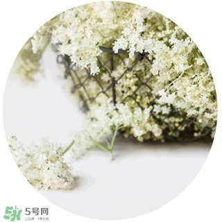 lululun plus面膜怎么樣？lululun plus面膜哪款好