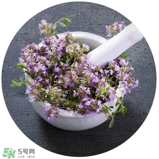 lululun plus面膜怎么樣？lululun plus面膜哪款好
