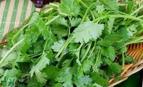 香菜洗腎有科學(xué)依據(jù)么？香菜能洗腎是真的嗎？