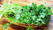 香菜是寒性食物嗎？香菜是熱性還是涼性？