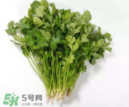 香菜洗腎有科學(xué)依據(jù)么？香菜能洗腎是真的嗎？