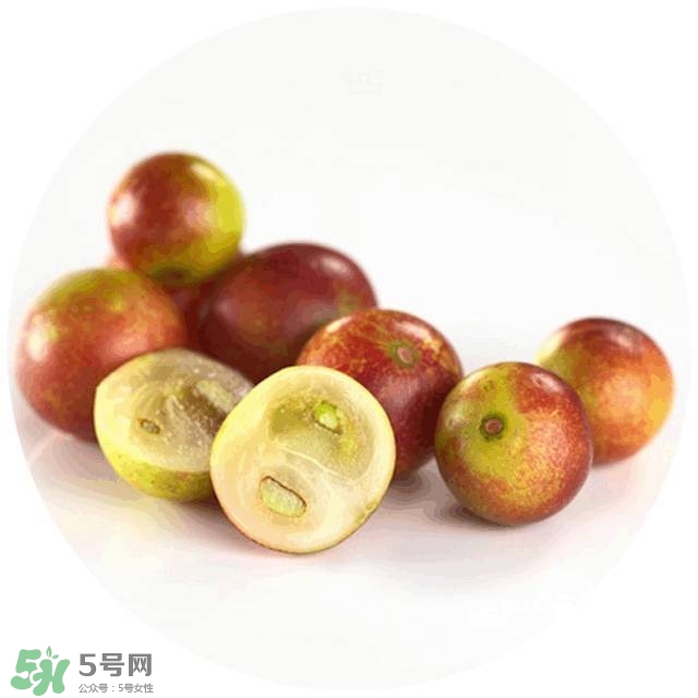 lululun plus面膜怎么樣？lululun plus面膜哪款好