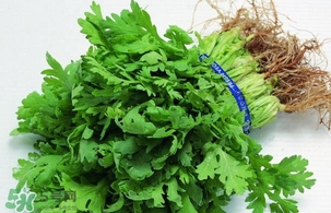 香菜是回奶的嗎？香菜是回奶還是下奶