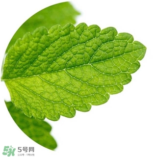 lululun plus面膜怎么樣？lululun plus面膜哪款好