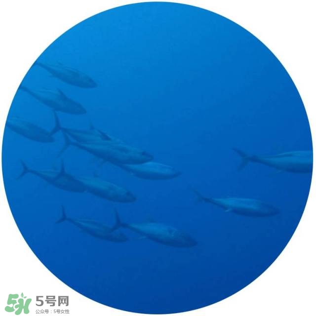 lululun plus面膜怎么樣？lululun plus面膜哪款好