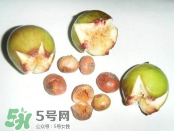 野地瓜滕熬水吃能治療什么??？野地瓜怎么吃