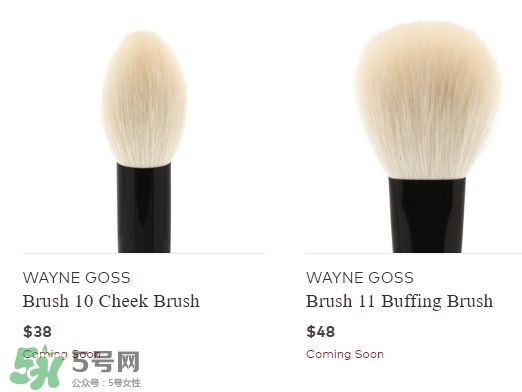 wayne goss是什么牌子？wayne goss化妝刷怎么樣？