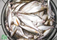 翹殼是什么魚？翹殼魚多少錢一斤2017？