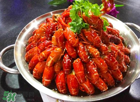 油燜大蝦吃哪些部位？怎么正確吃油燜大蝦？