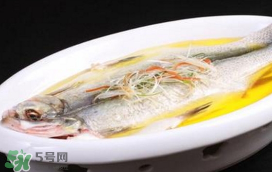 孕婦可以吃白條魚嗎？白條魚孕婦能吃嗎？