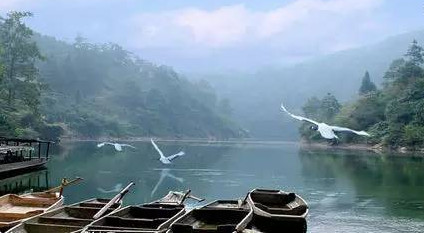 馬口魚(yú)能養(yǎng)殖嗎？馬口魚(yú)怎么養(yǎng)？
