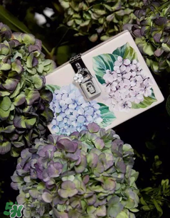 dolce gabanna杜嘉班納2017秋冬繡球花系列怎么樣_好看嗎？