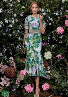 dolce gabanna杜嘉班納2017秋冬繡球花系列怎么樣_好看嗎？